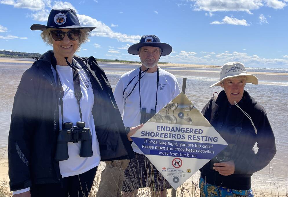 Volunteers in the South Coast Shorebird Recovery Program at Wallaga Heights on Wednesday, November 2: Roz Bannon, Doug Mein and Rebecca Rudd Picture by Marion Williams