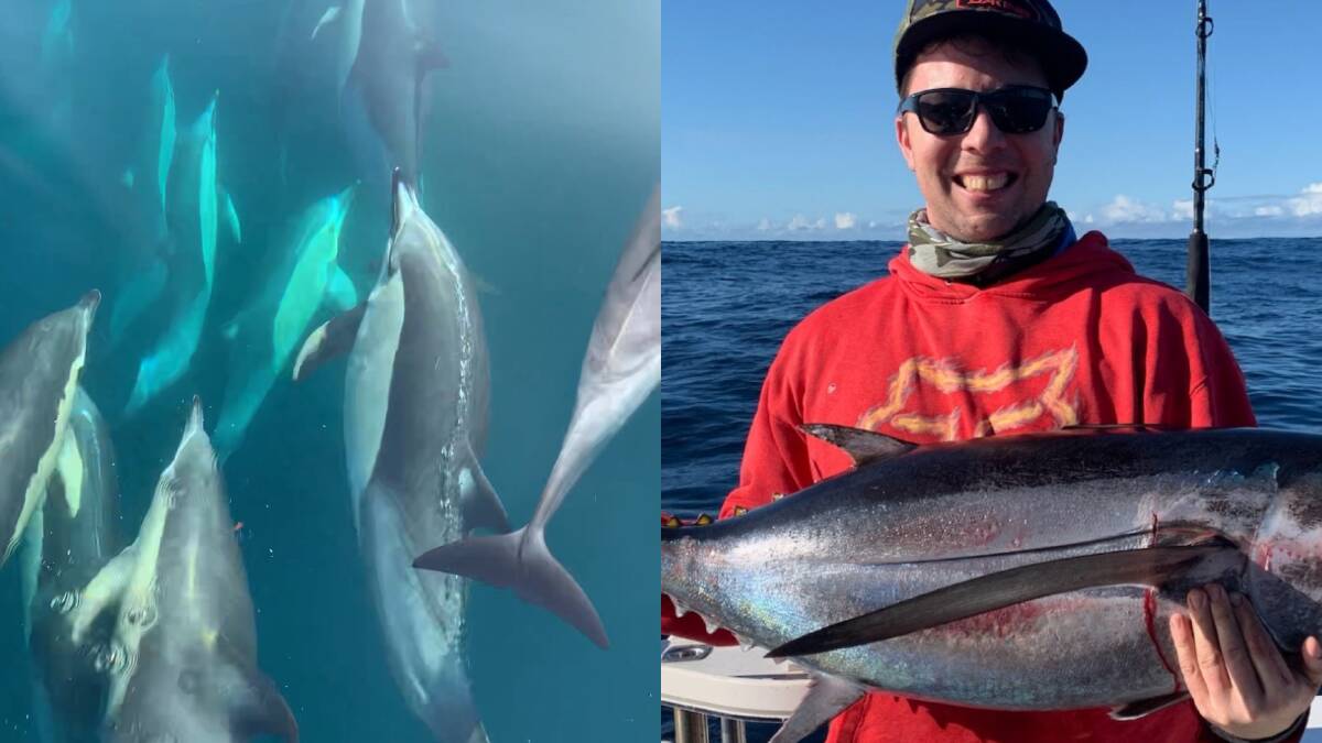 Still image from the dolphins captured riding at the bow of the boat, and an image of Grant Cruikshank with an albecore tuna (previously caught on a fishing adventure). Pictures supplied